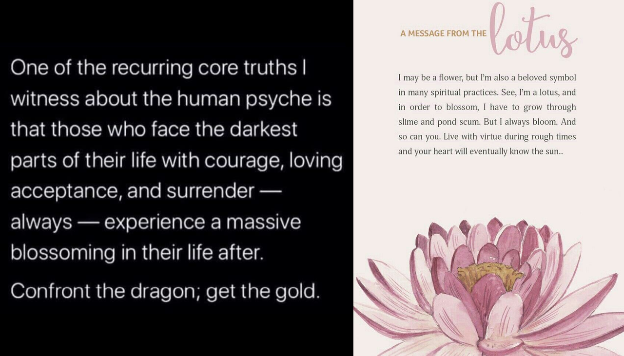 F01-BA3-D9-133-B-4949-A63-E-C16696-D9-AA