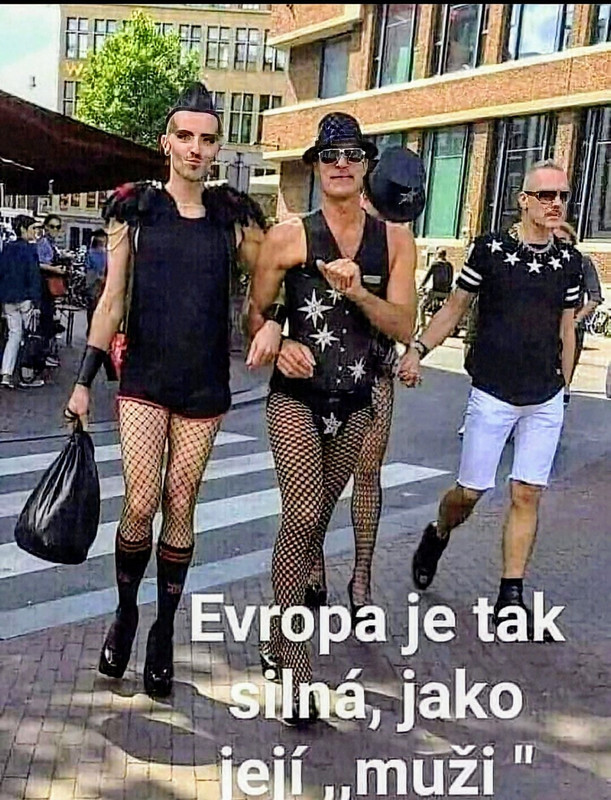 silná Evropa