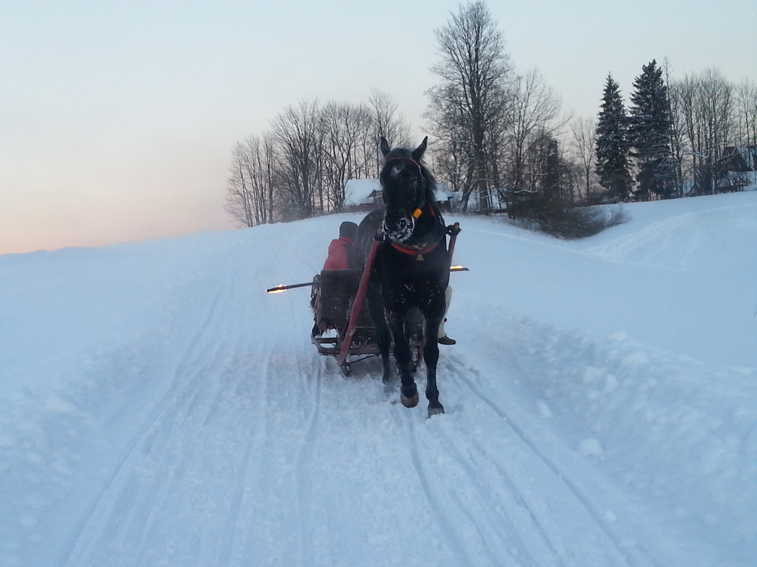 16.22 - 20170107_155157 (VdL)