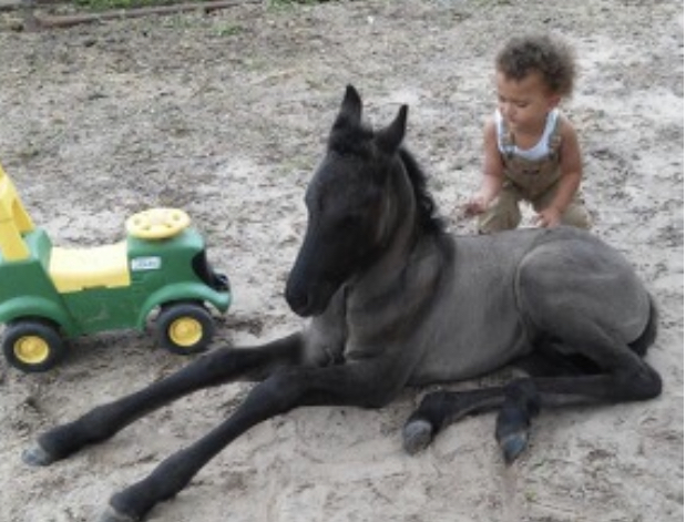 60C728B0-9B98-4FF7-BA4E-98E11B1CFEF2