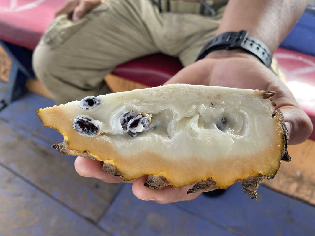 14BA424C-B468-466A-B1E2-C324589FB4E9