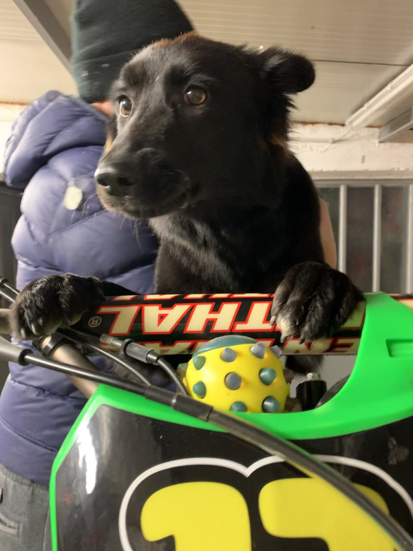 A31716F5-D4AD-4F46-A41B-EDC3D47D2A37