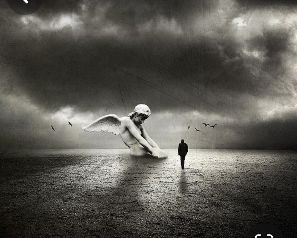 Screenshot_20231213_205657_Pinterest