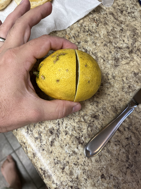 1C08C0AE-7DD6-44DC-B98A-DAE64805D624