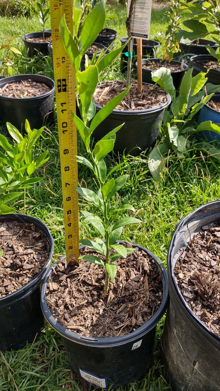 photo_2025-07-23_09-30-08 (5)