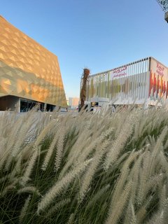 Expo 2020 de Dubai, un viaje de diez - Blogs de Emiratos A. U. - EXPO 2020 DE DUBAI:HAZAÑAS DE INGENIERÍA,50 ANIVERSARIO DE LOS EAU Y FIN PARTE I (19)
