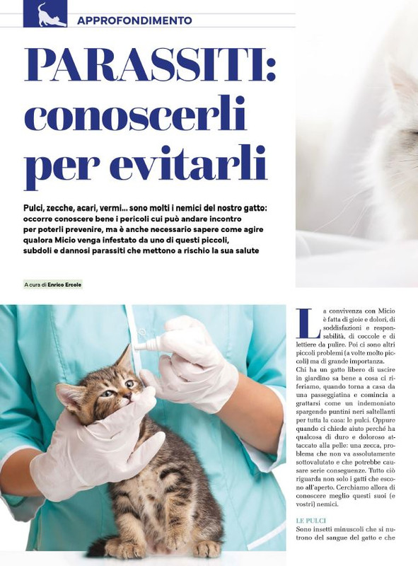 Ga Ma Ago-Set 2024 (3)