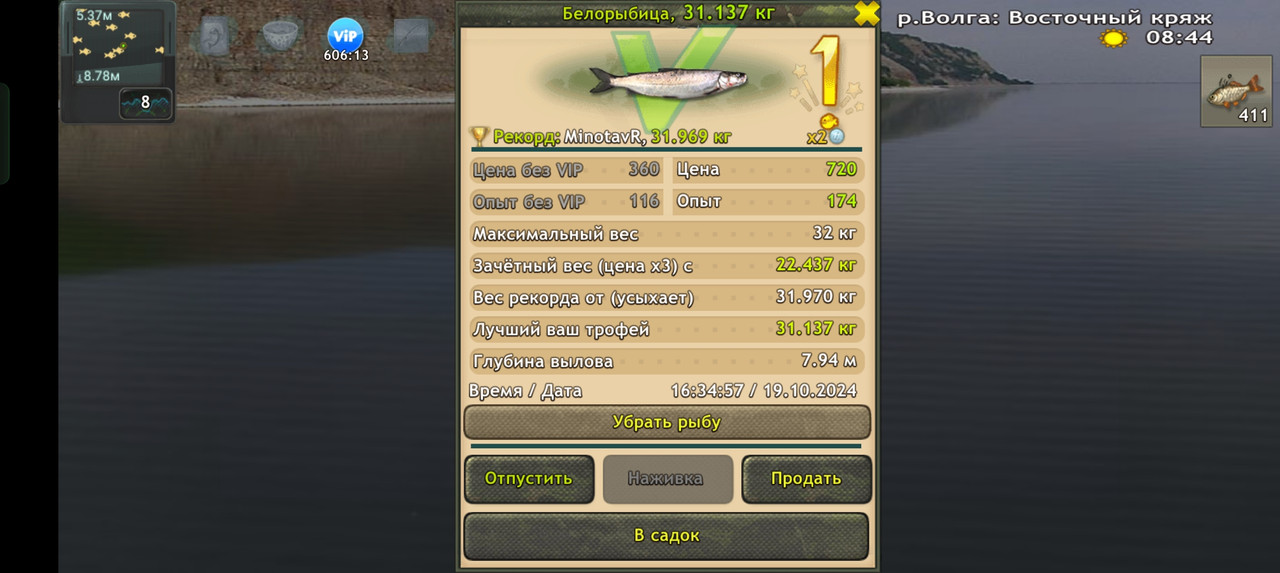 Screenshot-2024-10-19-16-35-01-12-fa28ee