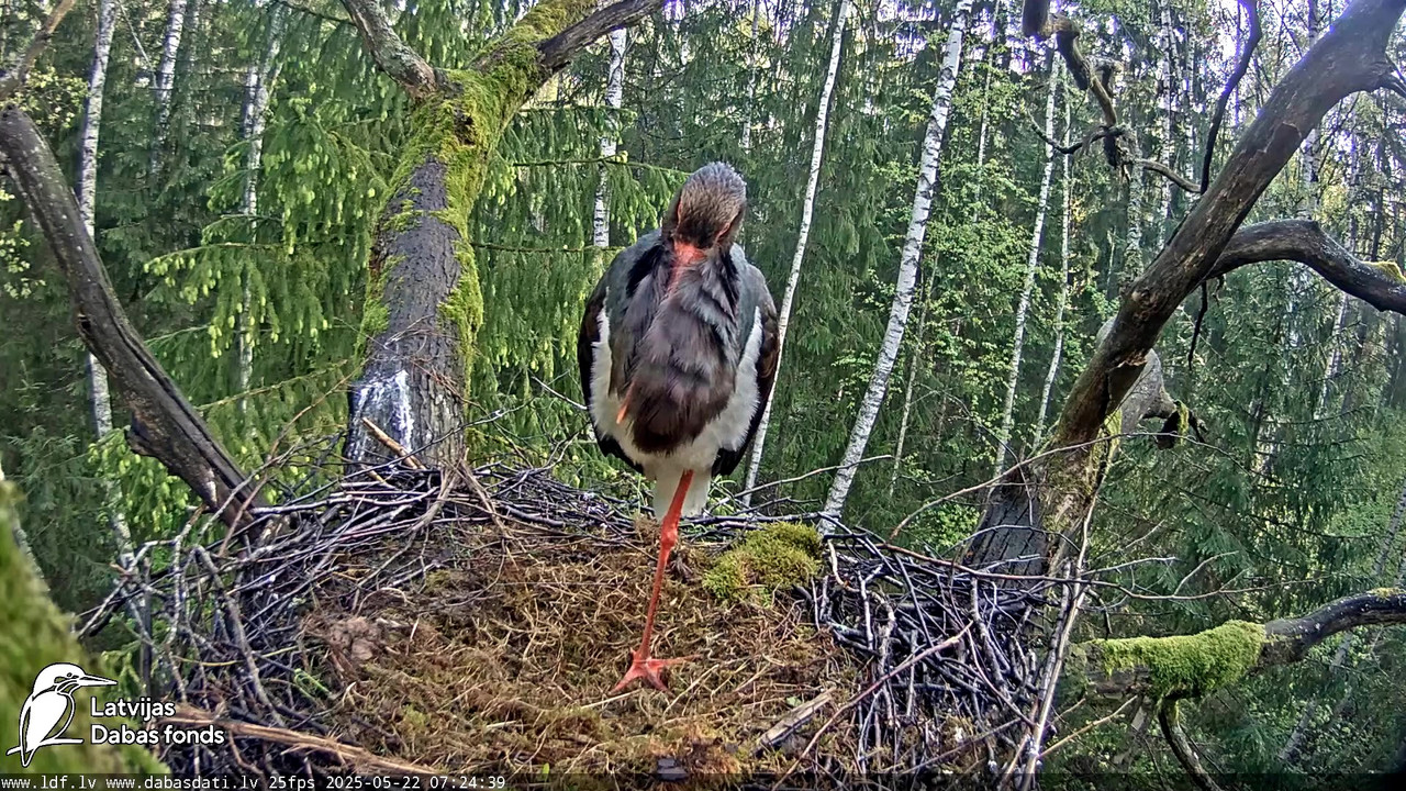 vlcsnap-2025-05-22-08h22m03s410