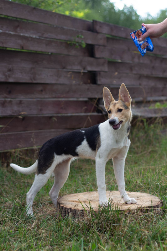 IMG-637f46d42a5cfbe55fc370e651f4f4a0-V