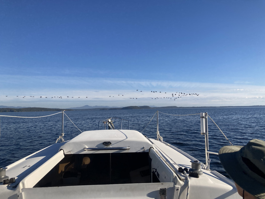 3389231D-BDB6-4CB5-A7D6-C25649D6017C