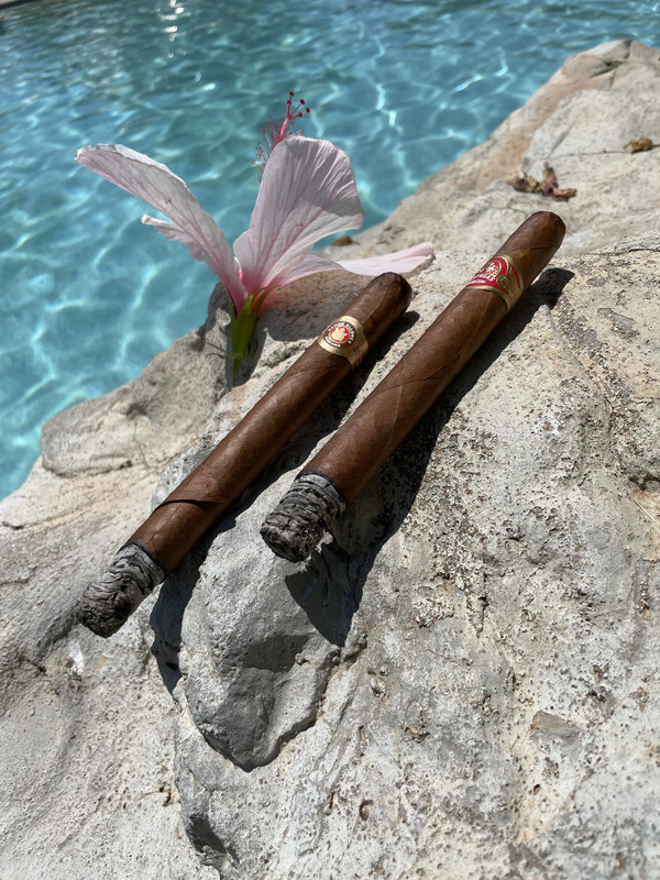 559F2111-53E4-43B6-A75C-F49E2FE9DAF8