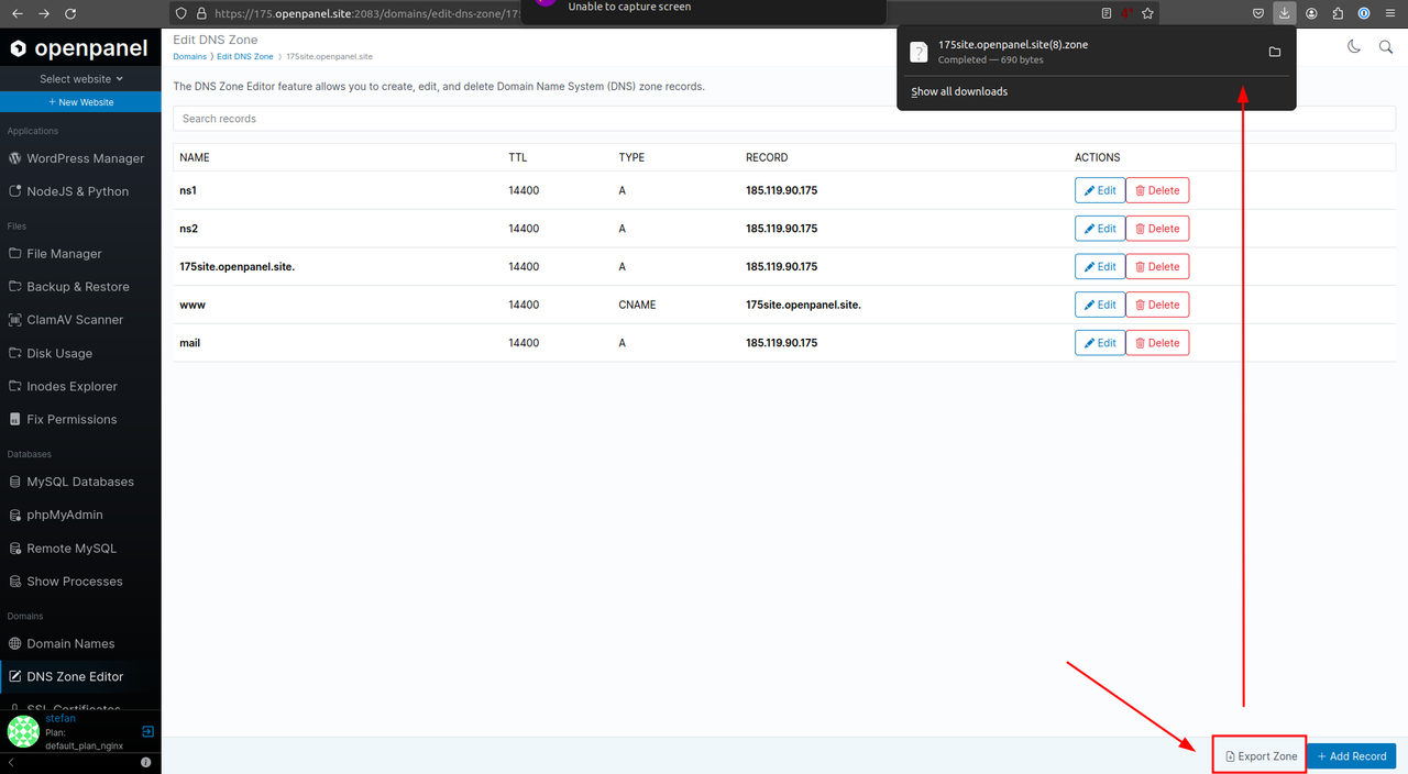 export dns zone