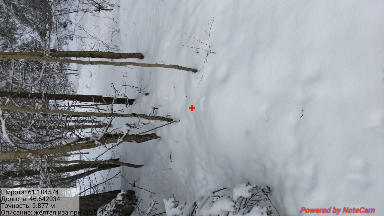 IMG 20260102 100852 641
