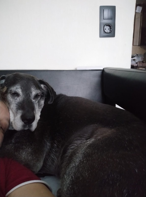 0E75012C-B441-4286-83E4-0C67A6E9F07E