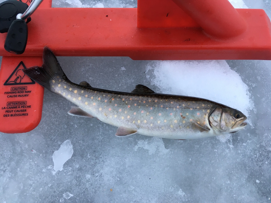 F369B09B-01A9-4DA9-8583-475C2959414E