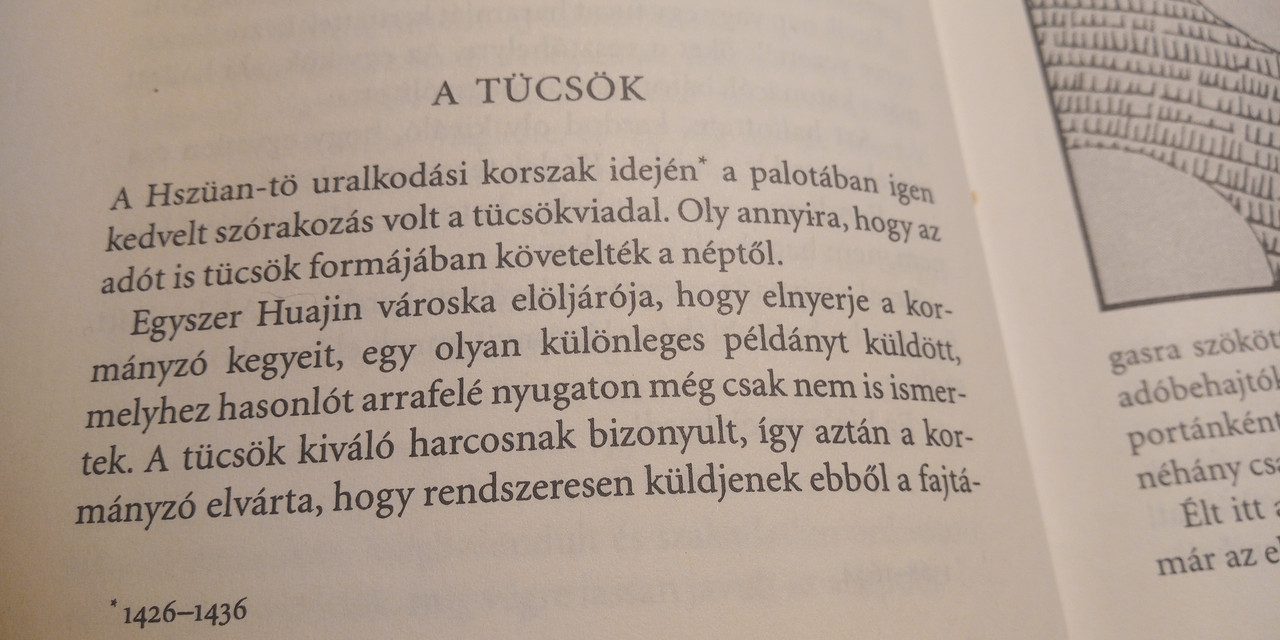 Kép