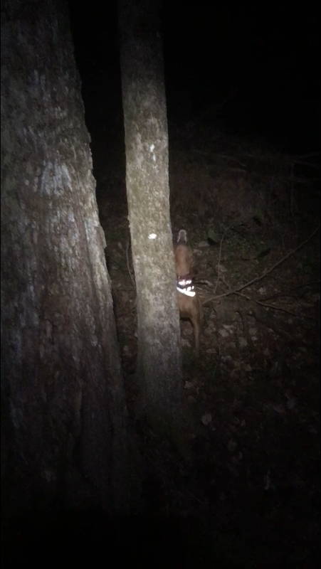 AB437CD4-CFB9-42B2-86E1-EBD74E86443B