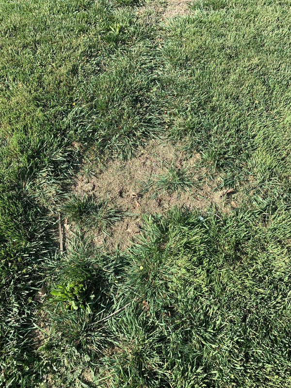 4B2EF20E-FEDD-48A5-AAF2-F657FAB26CD2