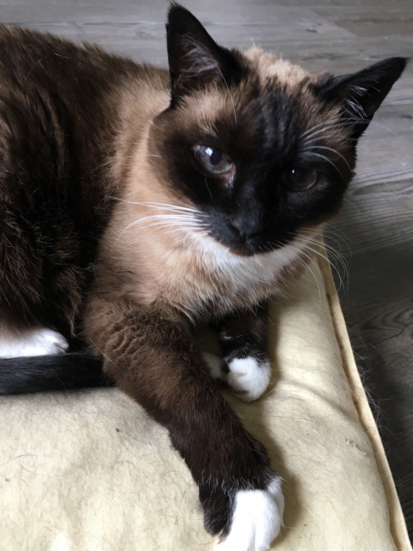 F63B29FD-5ECF-410A-BB19-88CD797C3A2D