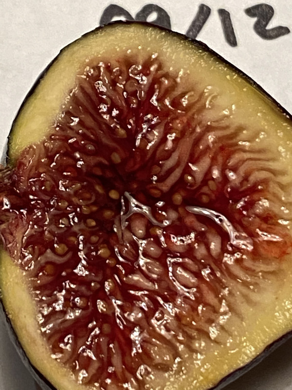 AFB1FF6A-A554-4C4B-85B2-226F25D59292