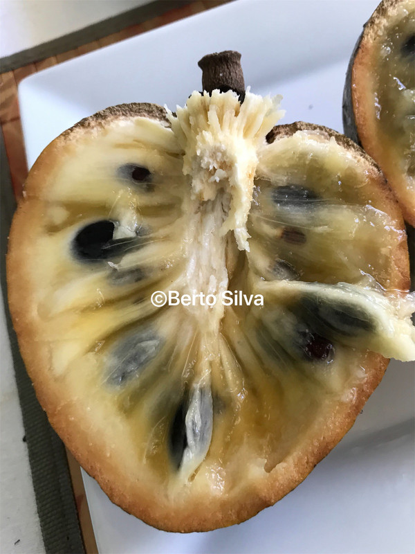 eZy Watermark_24-08-2019_01-20-04PM