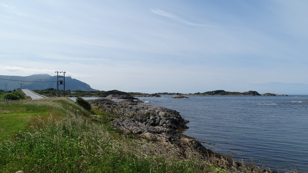 DSC01061.jpg