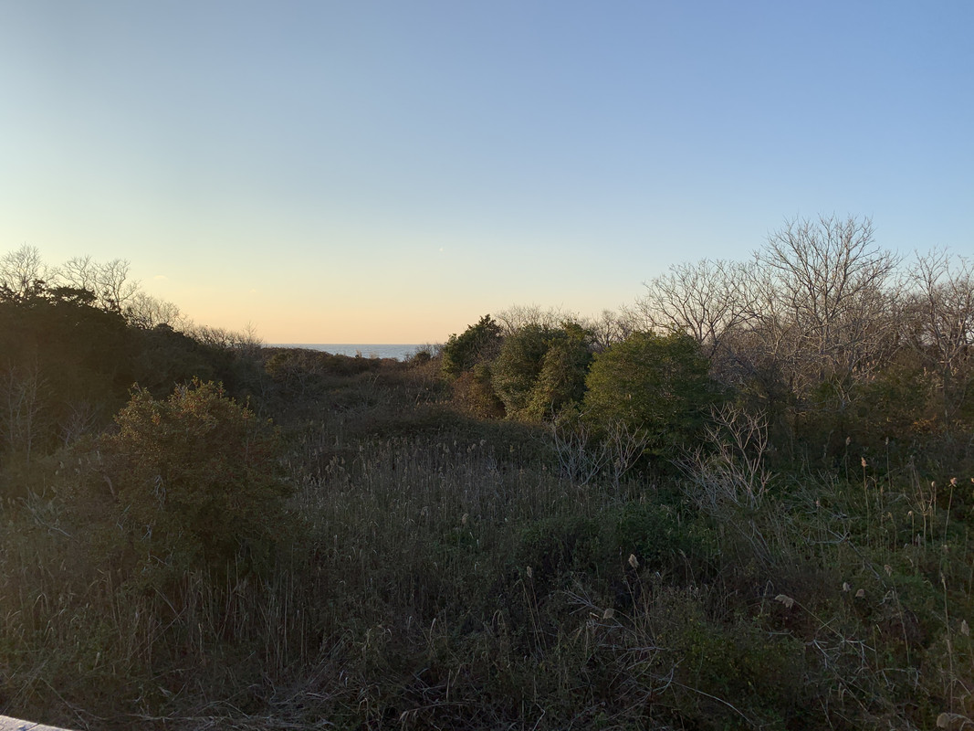 5E701ECF-2498-4DAD-860A-0134C2205C80