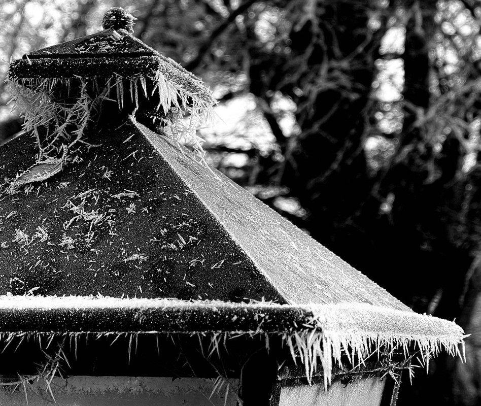 A43EB34B-E659-4000-B046-94D0967390FF