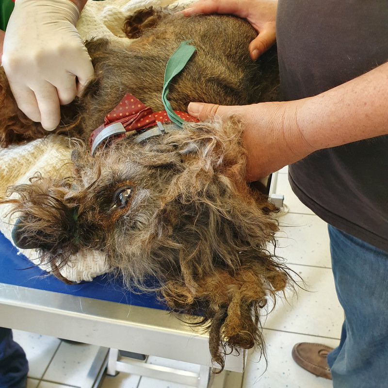 [Image: 20210603-184359.jpg]