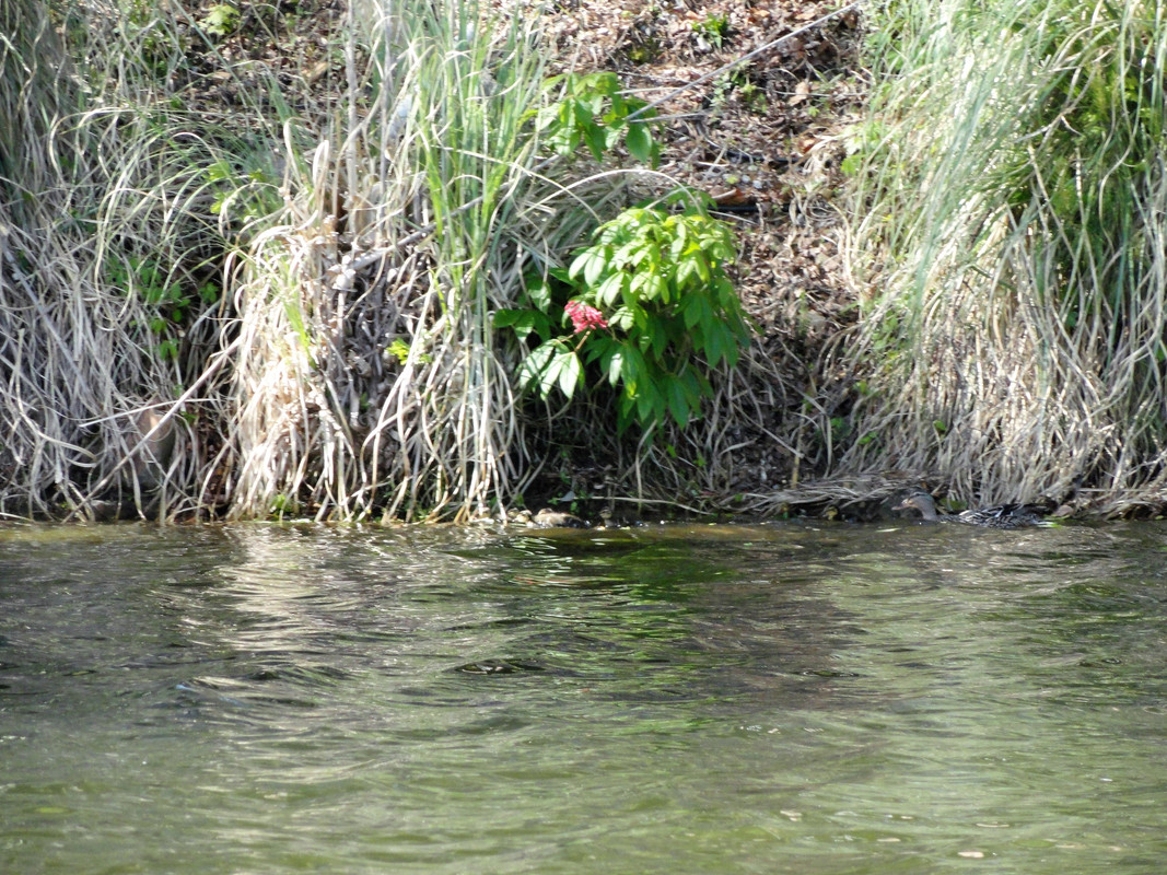 DSC06416-2.jpg