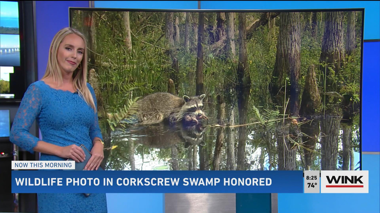 10.17 - 11.00.00 - WINK News @ 6 00AM Sunday. Local news, sports and ..._001.ts_snapshot_01.11.40_[2
