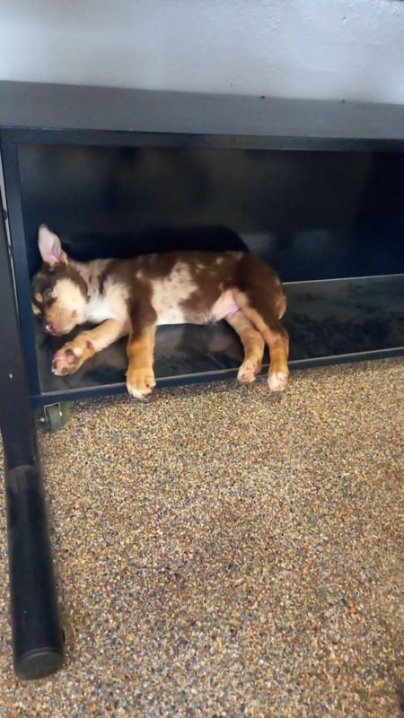 4B6E3F64-87FC-4200-AD72-25DB1113E3D3