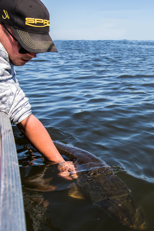 BE15D8CC-3818-401D-B277-F61476662282