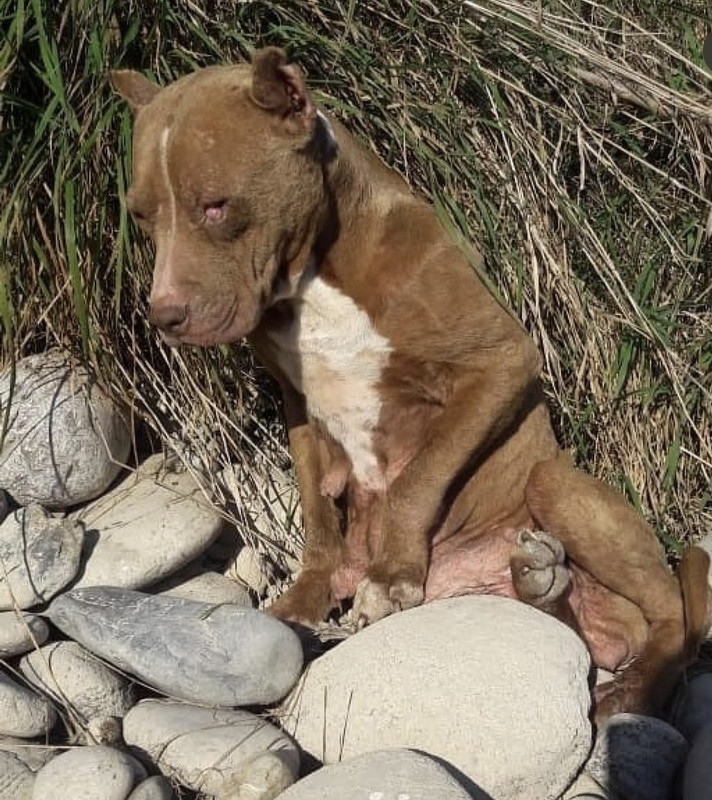 F0908D13-6203-4D4E-9E80-46112FB4480D