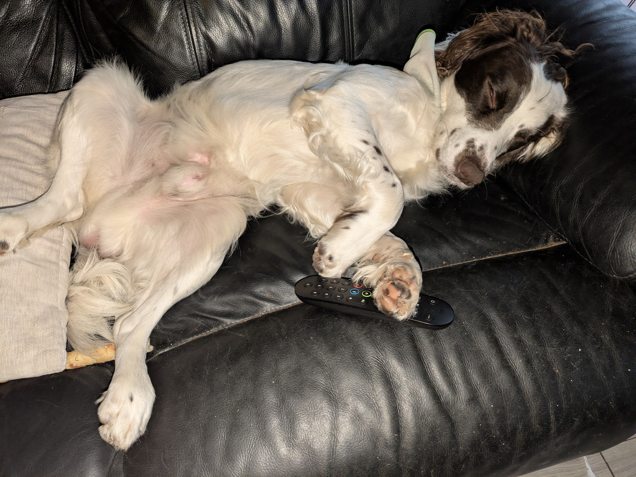 PXL 20251220 100524454 RAW 01 COVER