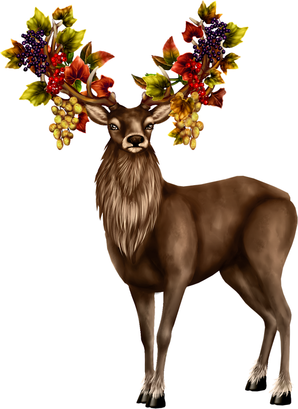 IPD_AH_Element (153)