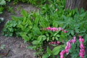 DSC00447
