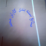carton-mohammad (11)