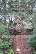 IMG-0457