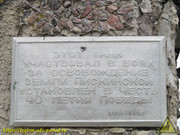 IMG-8819