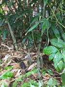 62142327_346537369395365_2394818664114159616_n