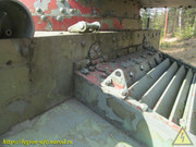 IMG-7124