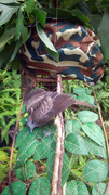 Taman-Kempas-300813-(2)