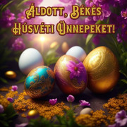 https://i.postimg.cc/XrRpXb1y/FB-IMG-1744981450684.jpg