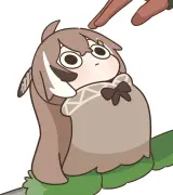 135906235 p0 master1200