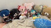 IMG-4560