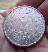 1 Dollar Morgan USA 1881 O IMG-20190501-131308-426