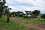 DSC-0188