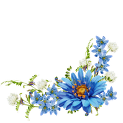 e8a75800f79eedd3846aeb3cc707c168o